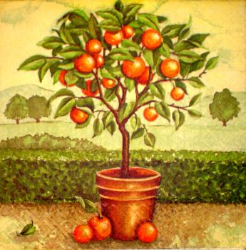 050 Lemons,  Oranges - 3-ply - Atelier